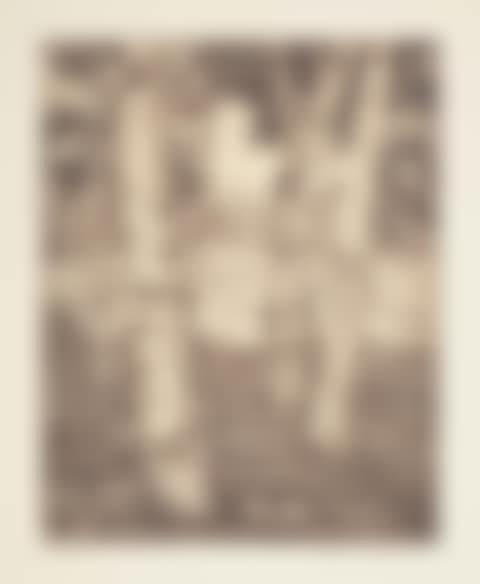 Group of 4 etchings (preview)
