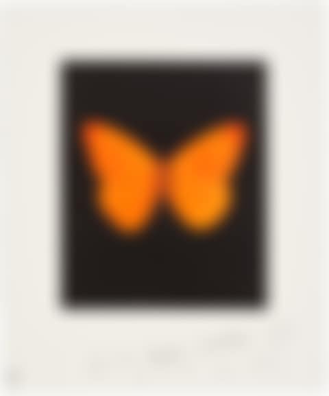 Hope, from Butterfly Etchings (preview)