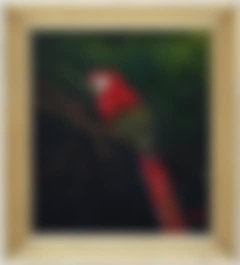 PAIR WORKS: SOUTH AMERICAN PARROTS (preview)
