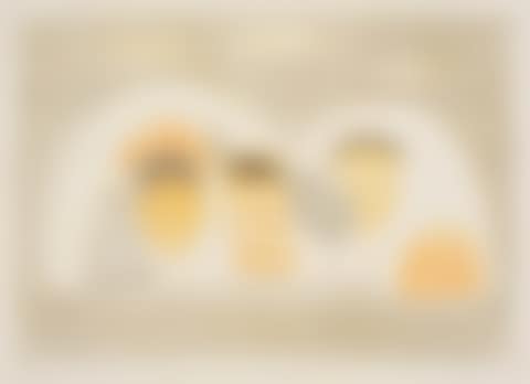 Motif Dalmate * Lumière de Dalmatie (preview)