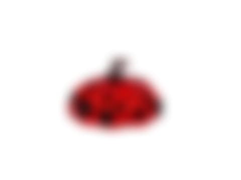 Naoshima Red Pumpkin (preview)