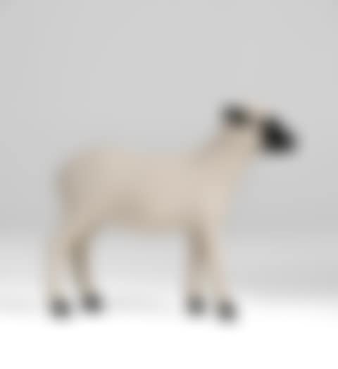 "Agneau", from the "Nouveaux Moutons" Series (preview)