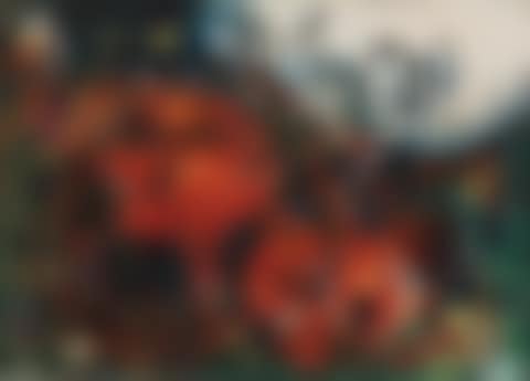 Composition (preview)