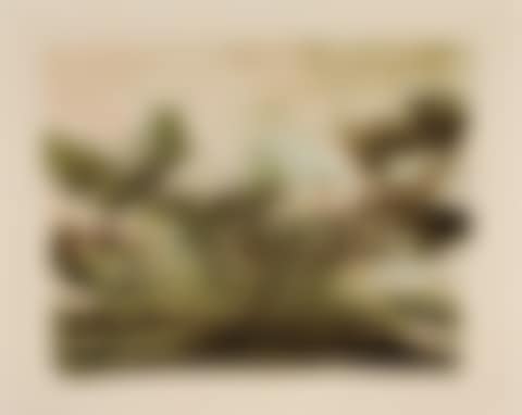 Untitled (Å. 185) (preview)