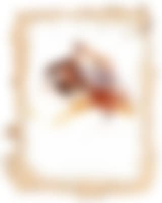 "Volkers Hut" (Volker"s hat); Volker"s Hat (preview)