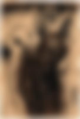 Untitled (preview)