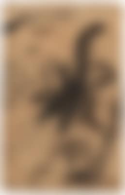 Untitled (preview)