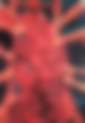 Ohne Titel (preview)
