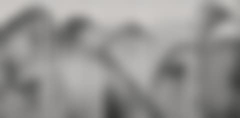 Landscape Series (in 5 parts) (preview)