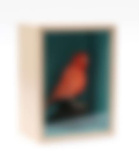 Orange canary in blue" (preview)