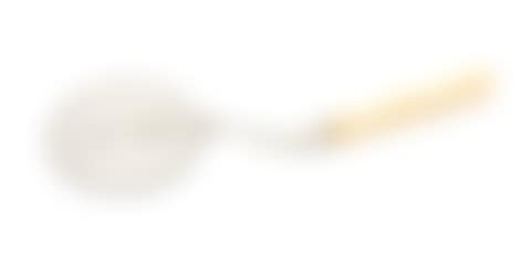 A Dutch silver cake cutter (preview)