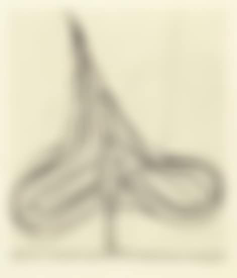 Spade (preview)