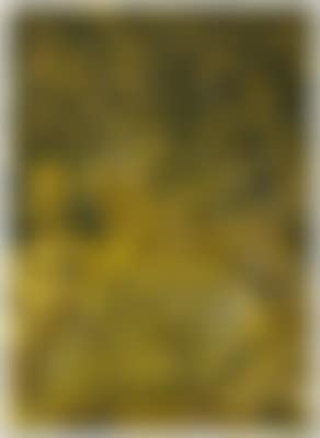 Farbsteinfeldwege (preview)