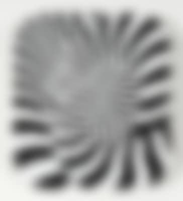 Zebra (preview)