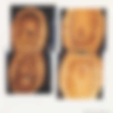 Untitled (Four Head Casts) (preview)