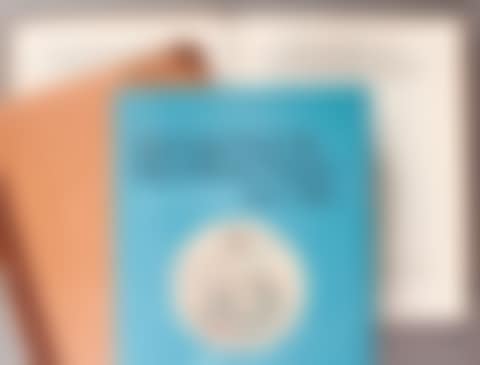 Die Ziechnungen der deutschen schulen bis zum beginn des klassizismus (preview)