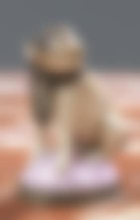 Small bottle in the shape of a pug sitting on a cushion (preview)