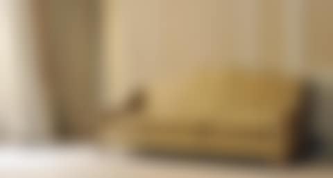 Important sofa (preview)