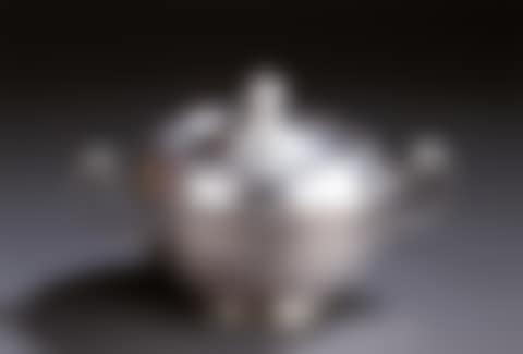 A silver covered kettle with handles (preview)