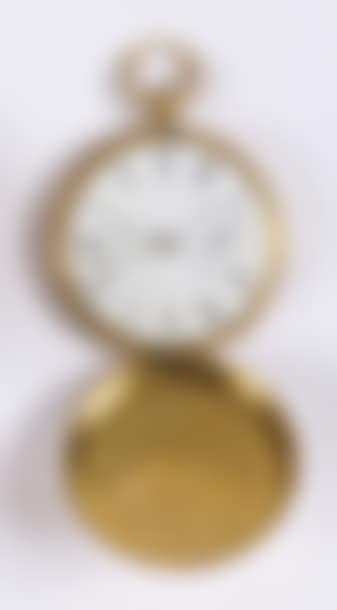 GOUSSET WATCH (preview)