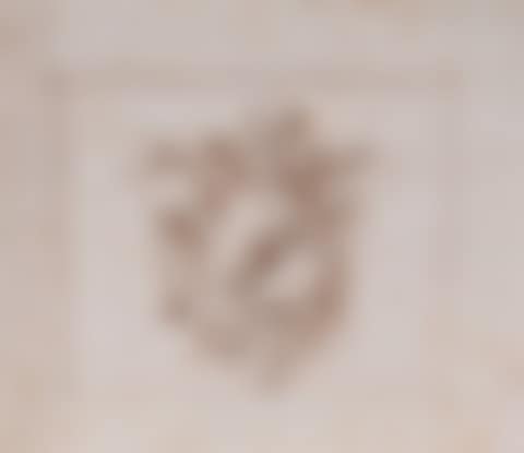 Study of a trophy (preview)