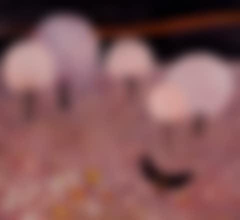 Black Moth (preview)