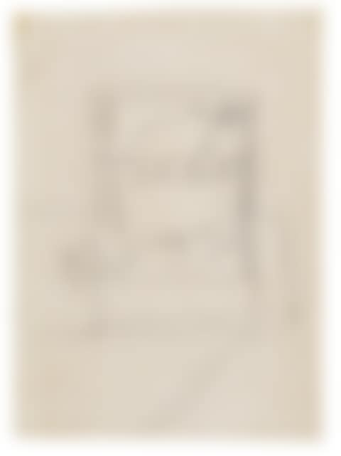 Untitled (Birds in a cage) (preview)