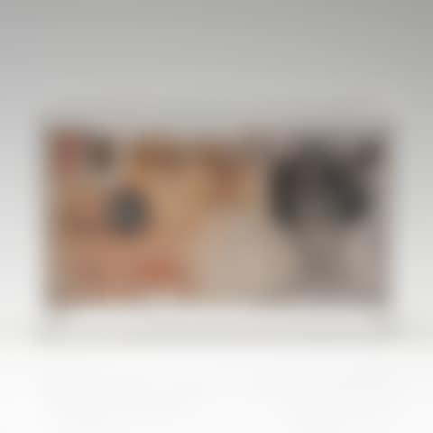 DI-FACED TENNER (preview)