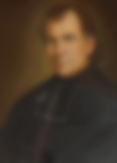 Half length portrait of cardinal (preview)