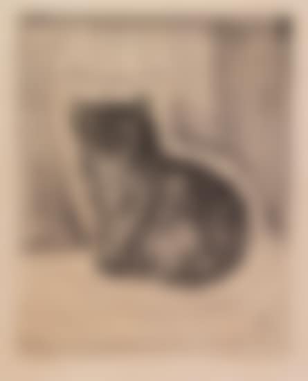 Chat assis (preview)