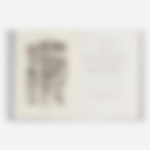 Thirty-six Poems by Tu Fu (preview)