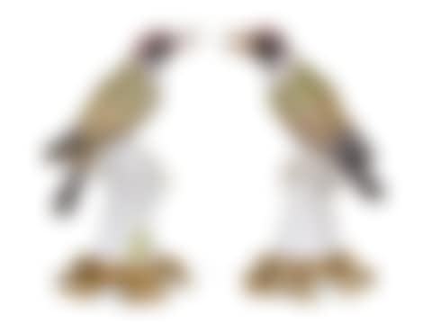 A PAIR OF ORMOLU-MOUNTED MEISSEN PORCELAIN MODELS OF GREEN WOODPECKERS (preview)