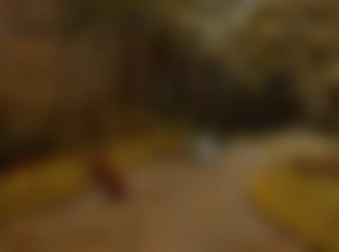 Park Scene (preview)
