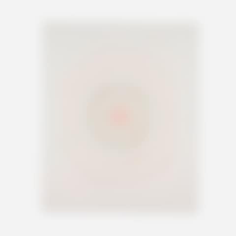 Catherine Wheel (from the In a Spin, the Action of the World on Things, Volume II portfolio) (preview)
