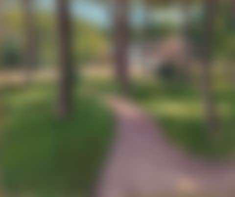 Yerres, undergrowth path in the park (preview)