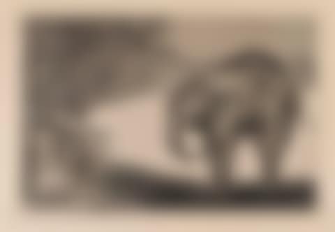 Quien se pondrá el cascabel al gato? (preview)