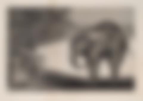 Quien se pondrá el cascabel al gato? (preview)