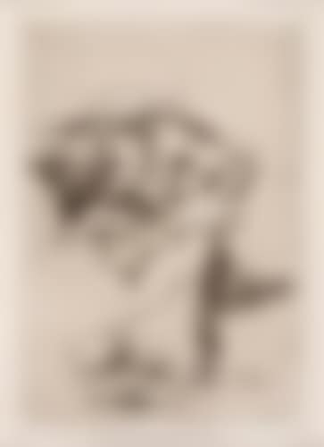 Group of 10 etchings from Los Caprichos (preview)