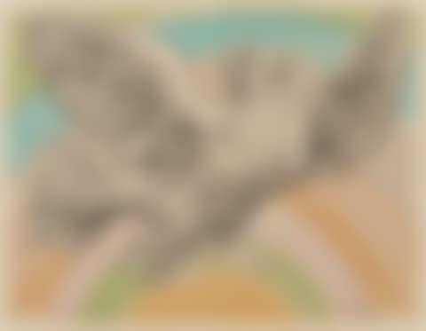 Untitled (Dove (preview)
