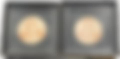 Portrait miniatures (preview)
