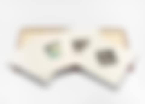 Various (preview)