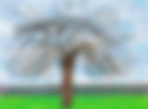 220 for 2020, 3rd of March, 2020, No3 (preview)