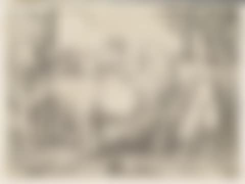 The Milkmaid (preview)