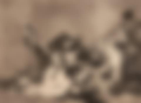 Y son Fieras (preview)