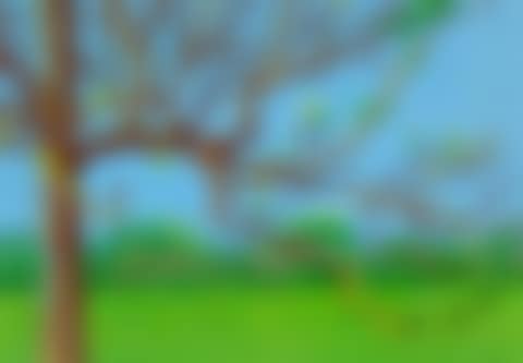 28th of March, 2020 (preview)