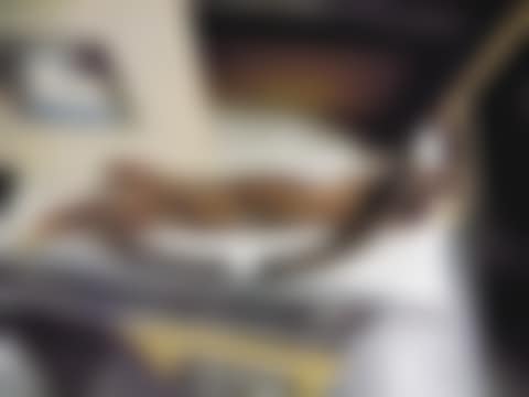 Aboriginal Seed Pods (preview)