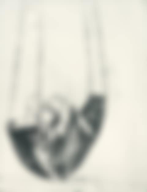 Suspension (preview)