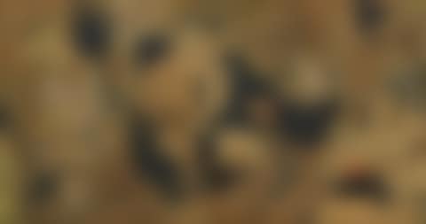 Untitled (Abstract Composition) (preview)