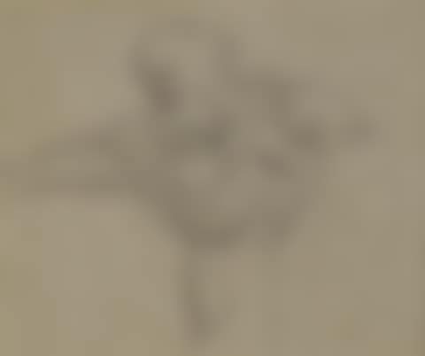 Study of a bearded man (preview)