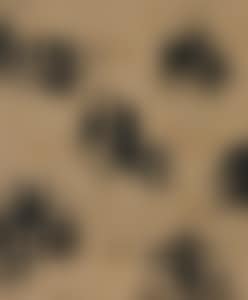 Recurrence (preview)
